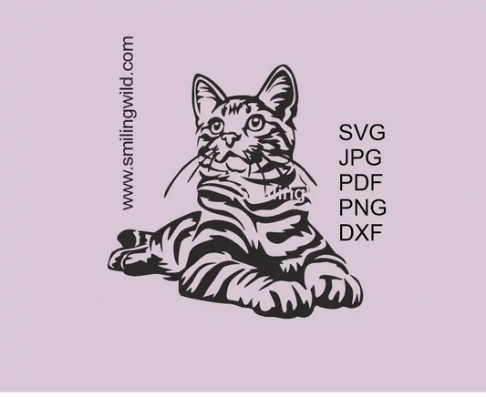 a lying Tabby cat SVG PNG DXF Vector graphic for cutting. Realistic cat clipart design optimized for Cricut and scalable projects.