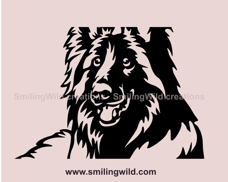 smiling peeking tervuren face