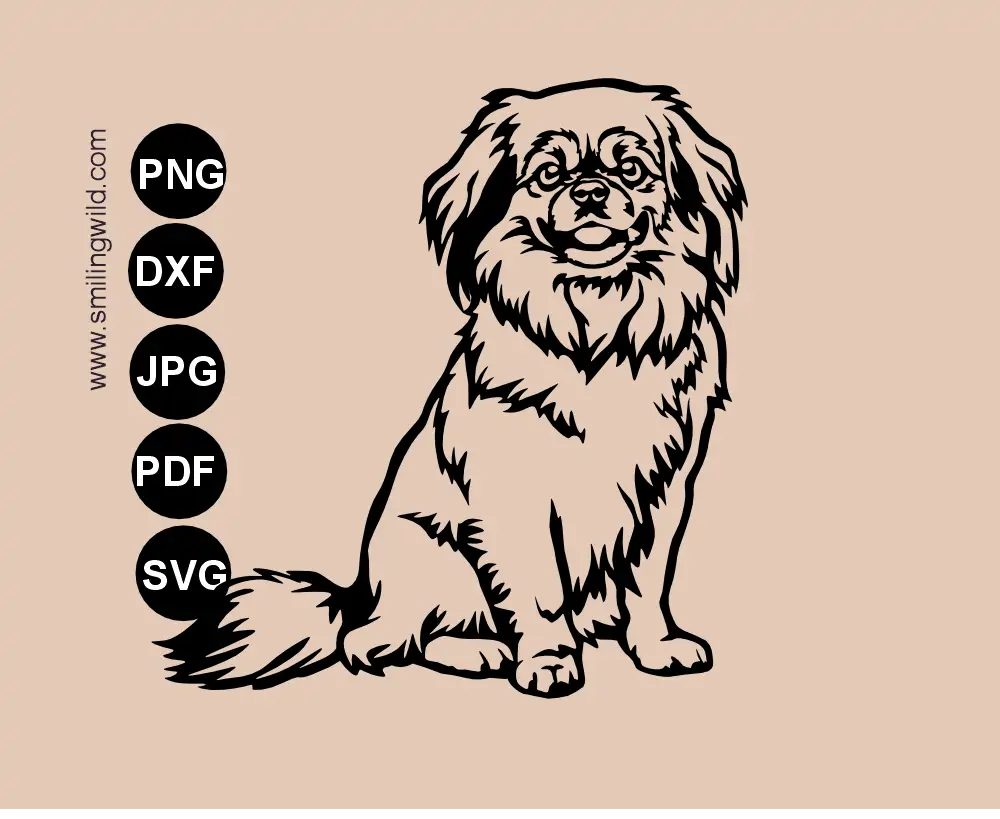 A vector graphic full body drawing of a Tibetan spaniel dog breed SVG cut file. This illustraition shows a smiling, sitting dog.