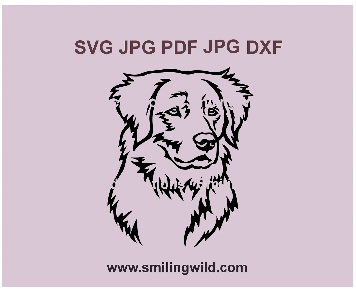 Detailed black and white Toller dog clipart – SVG PNG DXF files for Cricut, Silhouette, and DIY projects