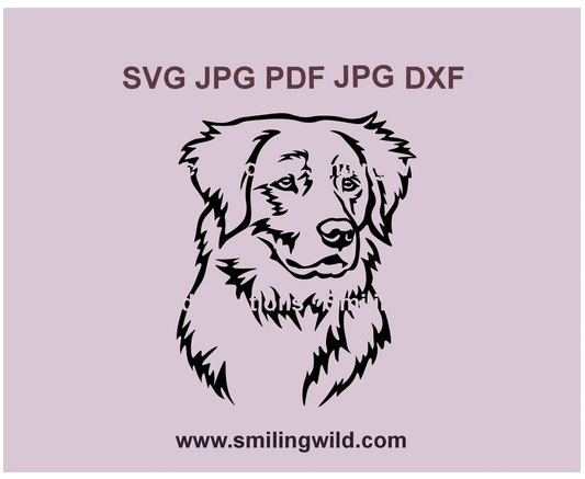 Detailed black and white Toller dog clipart – SVG PNG DXF files for Cricut, Silhouette, and DIY projects