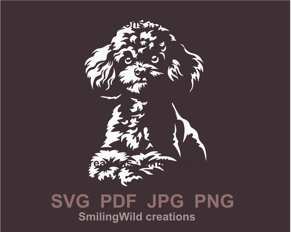 Lying poodle in white graphic design