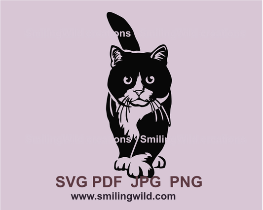 Coming closer tuxedo cat digital clip art design in a back color