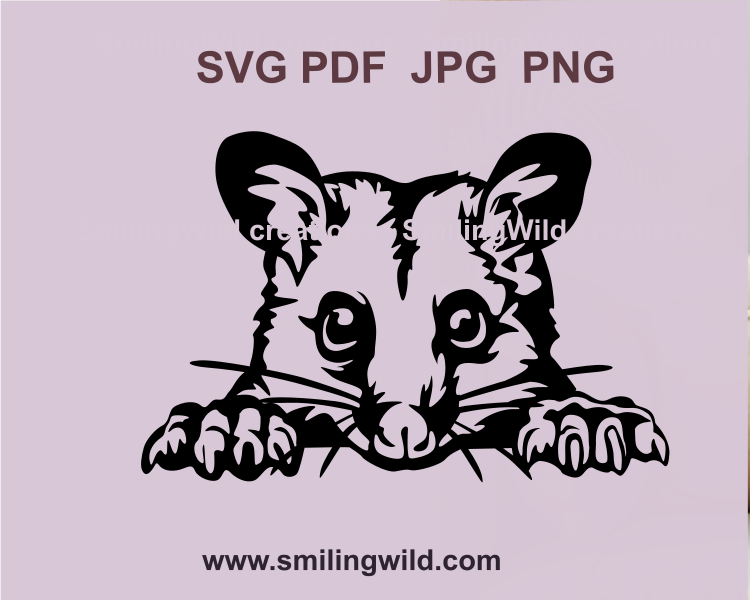 Brushtail Possum vector illustration, detailed SVG file perfect for Australian wildlife crafts