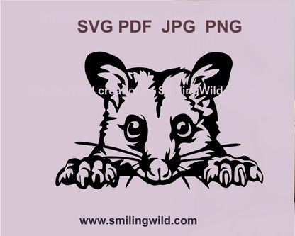 Brushtail Possum vector illustration, detailed SVG file perfect for Australian wildlife crafts