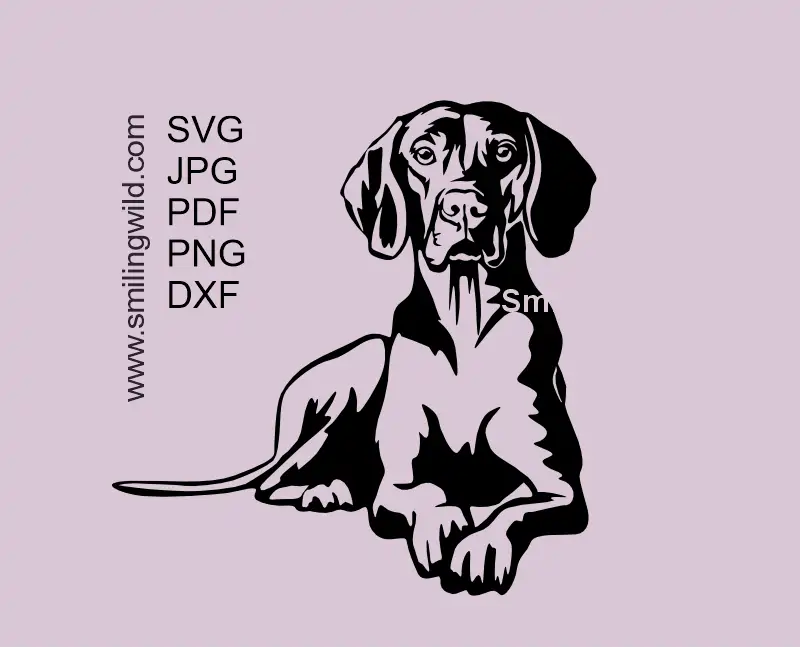 Lying Vizsla dog SVG vector clipart design showcasing a hunting dog in a noble position and alert face.
