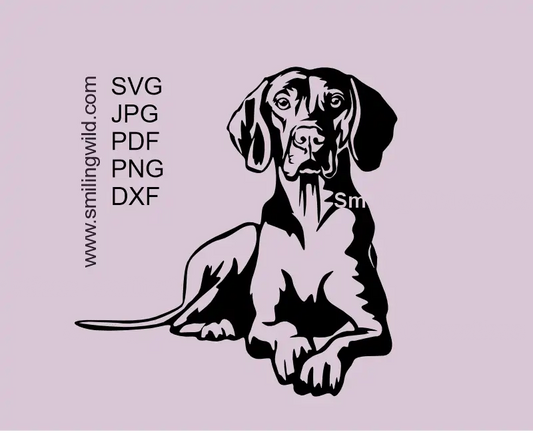 Lying Vizsla dog SVG vector clipart design showcasing a hunting dog in a noble position and alert face.
