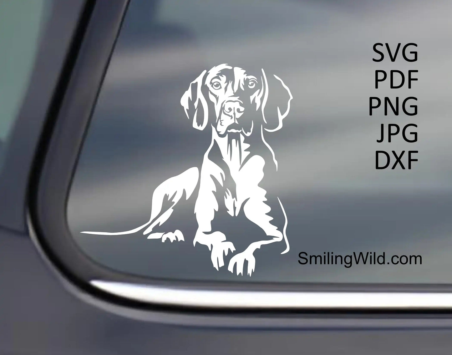A preview image of Vizsla hunting dog full-body lying white cut file image made in svg file