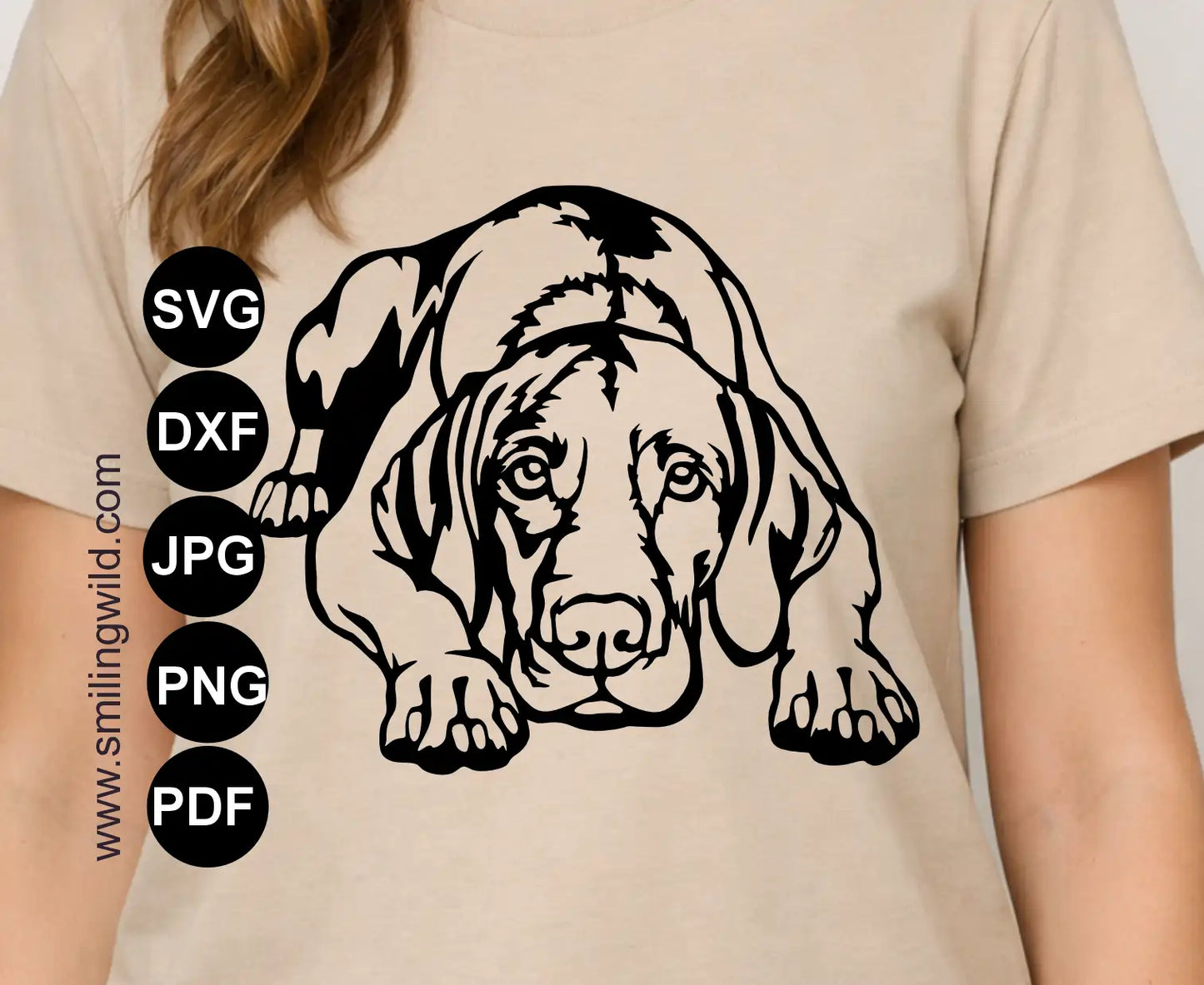 Vizsla png and dxf digital design in a lying pose, ready for Cricut, CNC, and metal cutting.