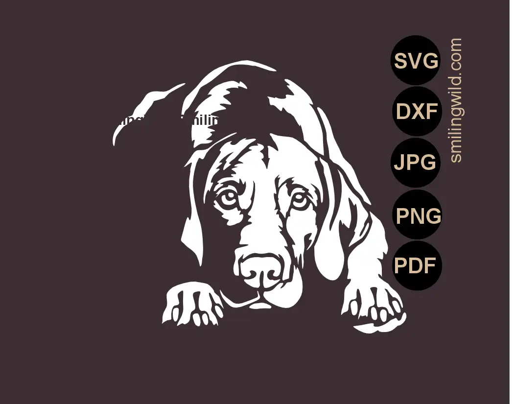 Vizsla SVG stencil and dog cut file for DIY painting and vinyl decals.