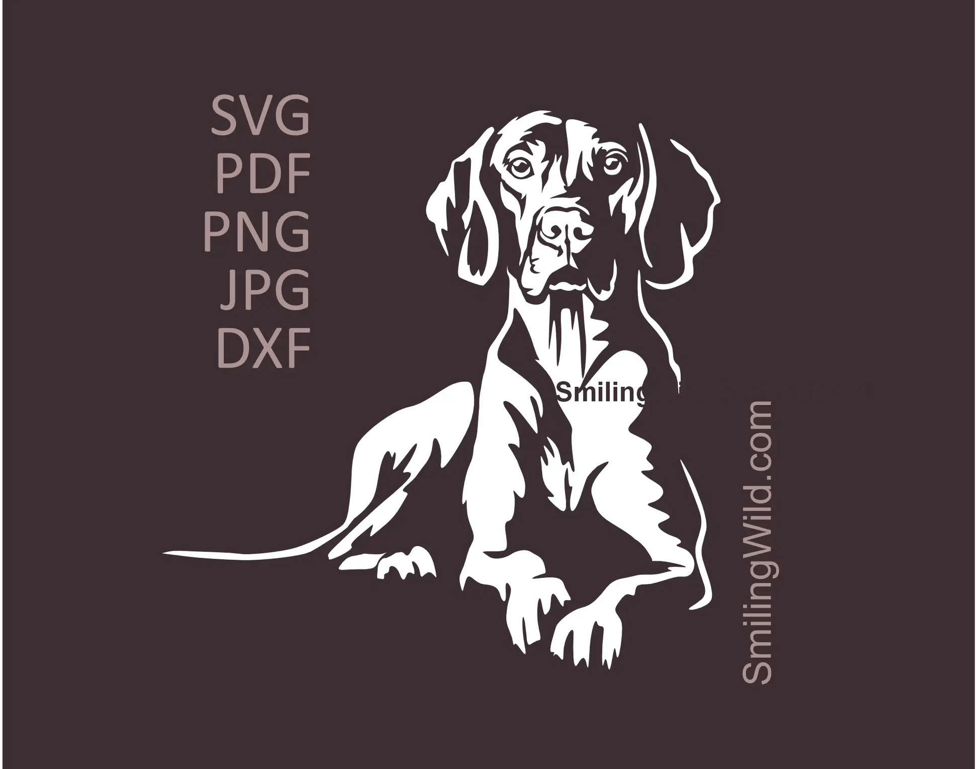 A full body lying vizsla graphic art image with SVG, png and dxf vector clipart files included
