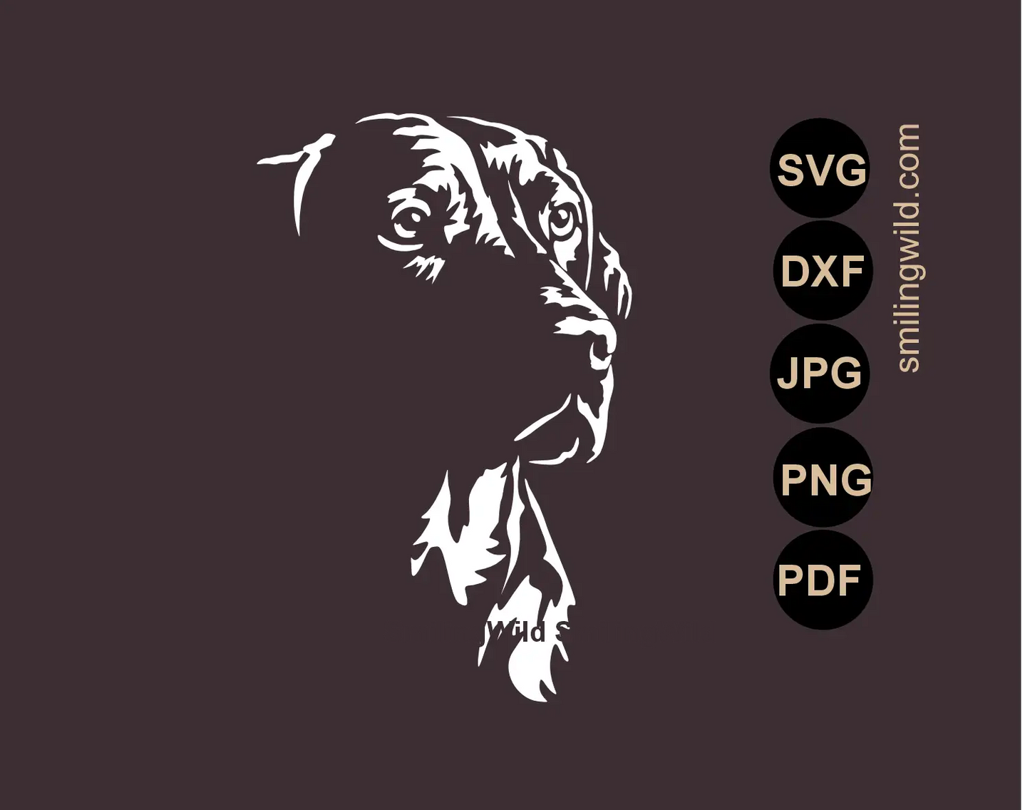 Vizsla head SVG realistic hunting dog vector art for dark backgrounds in Chiaroscuro - high contrast art style