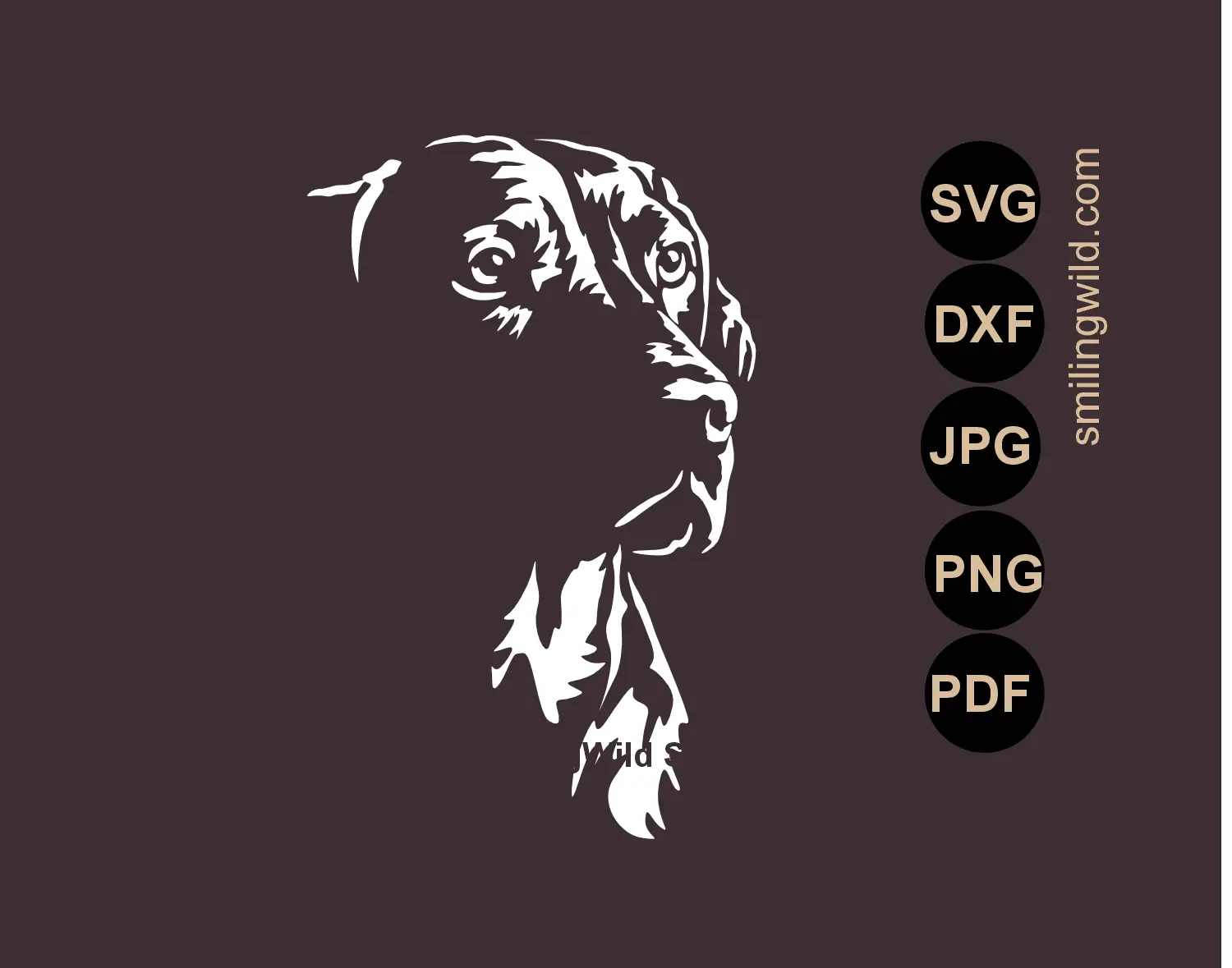 Vizsla head SVG realistic hunting dog vector art for dark backgrounds in Chiaroscuro - high contrast art style