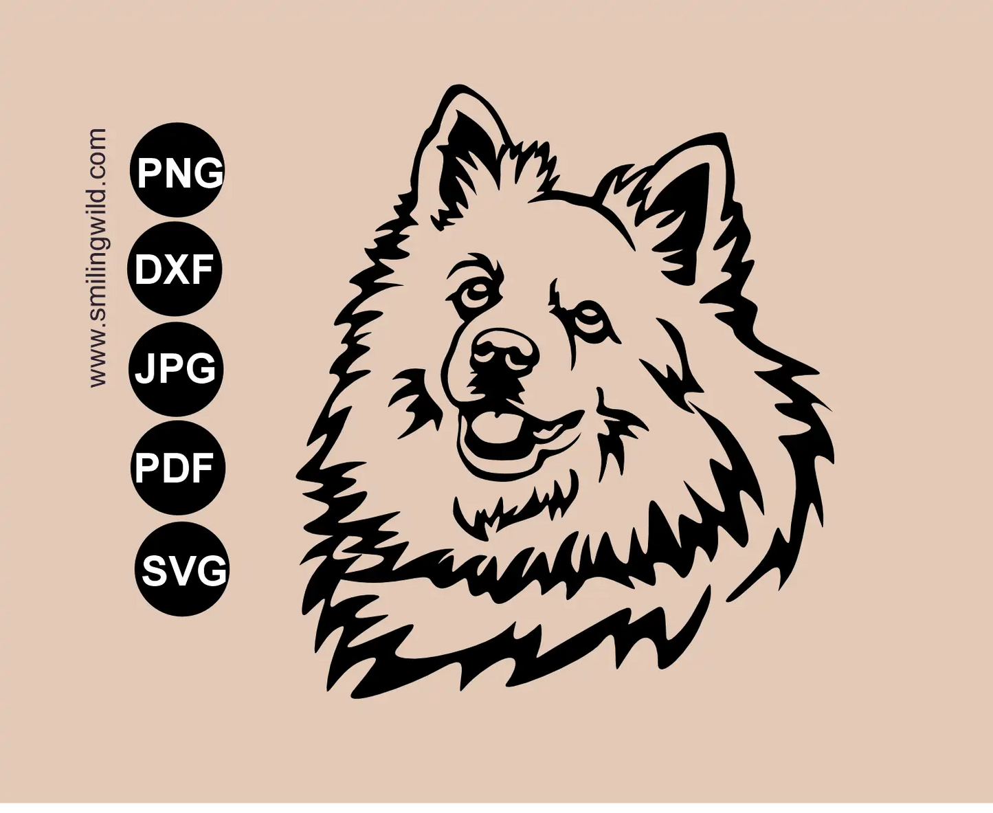 Volpino italiano portrait in svg, png and dxf vector graphic clipart representing spitz dog cut file .