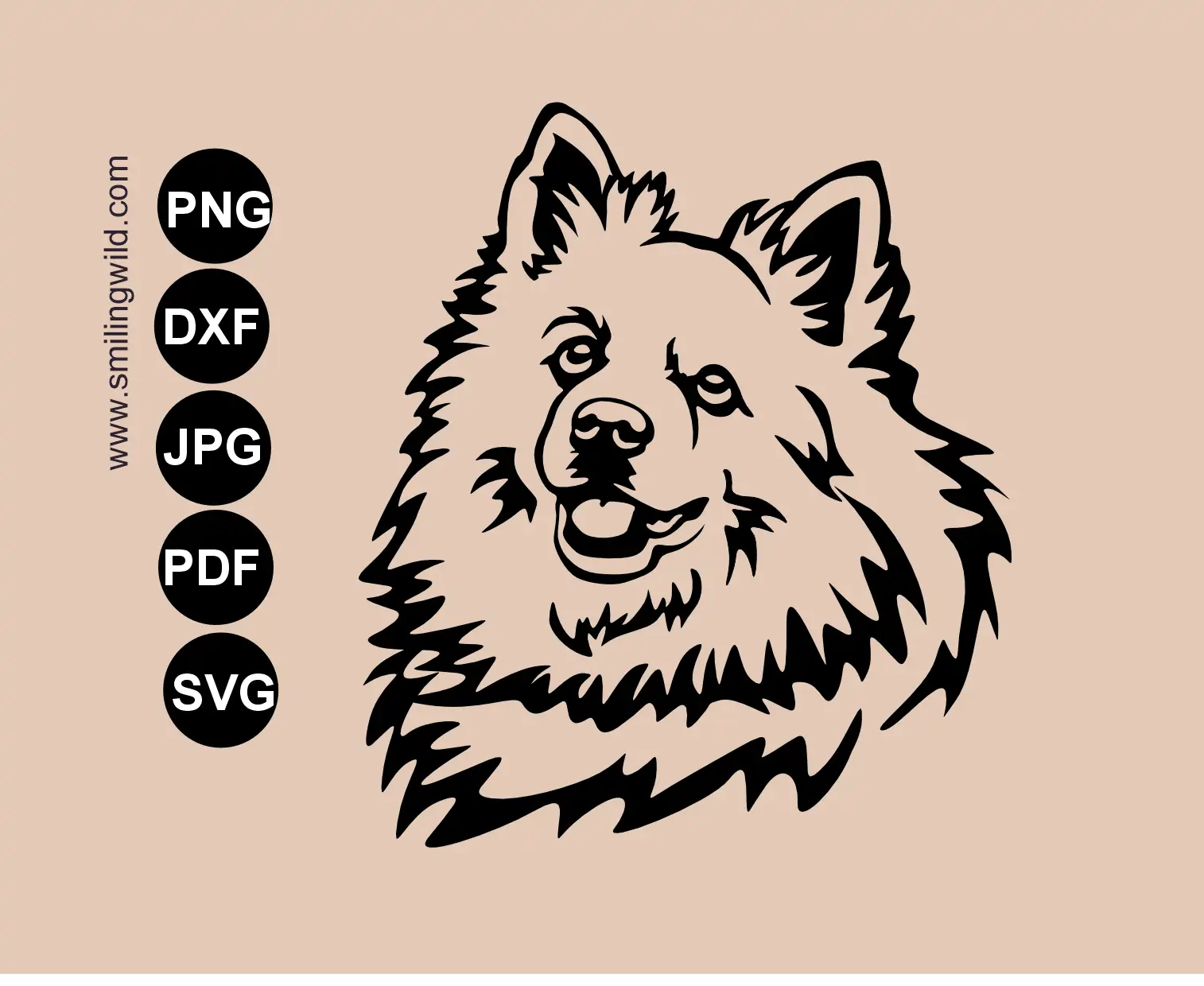 Volpino italiano portrait in svg, png and dxf vector graphic clipart representing spitz dog cut file .