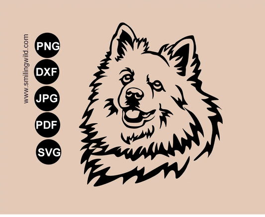 Volpino italiano portrait in svg, png and dxf vector graphic clipart representing spitz dog cut file .