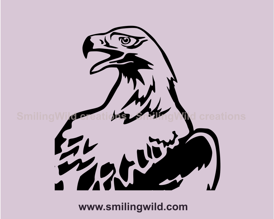 wedge tailed eagle head portrait