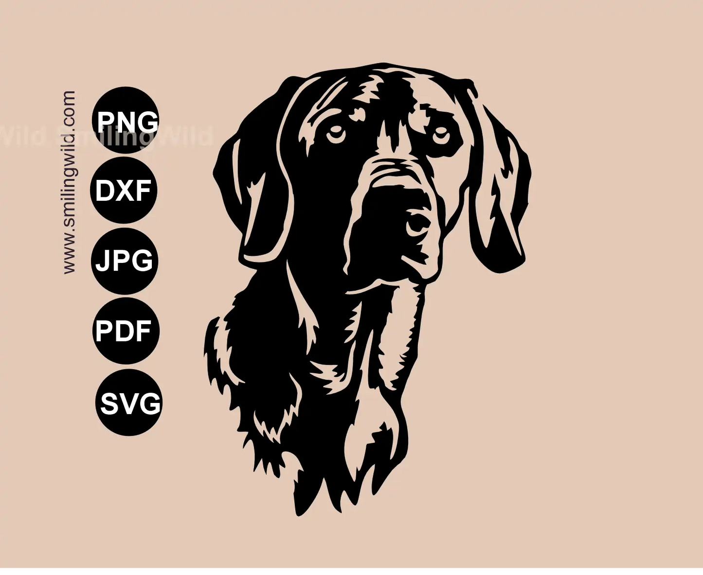 Weimaraner frontal face svg cut file hunting dog vector graphic layout for production manufacturing