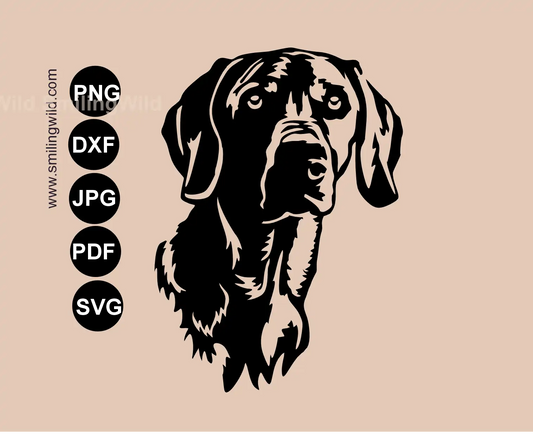 Weimaraner frontal face svg cut file hunting dog vector graphic layout for production manufacturing