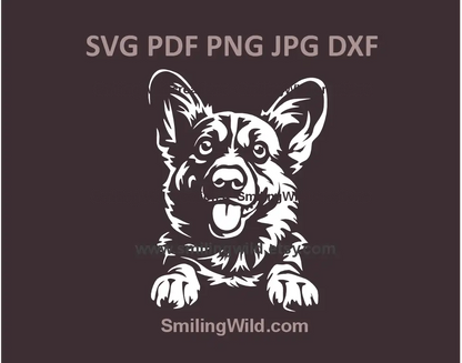 Realistic Welsh Corgi Pembroke SVG PNG, dxf - black and white dog vector clipart for Cricut projects and vinyl cutting