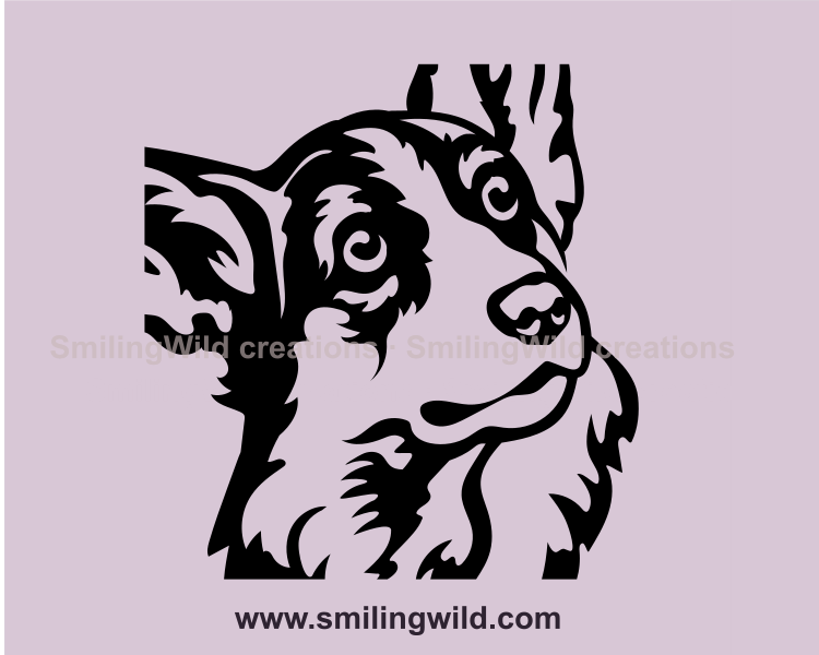 welsh corgi graphic close up portrait