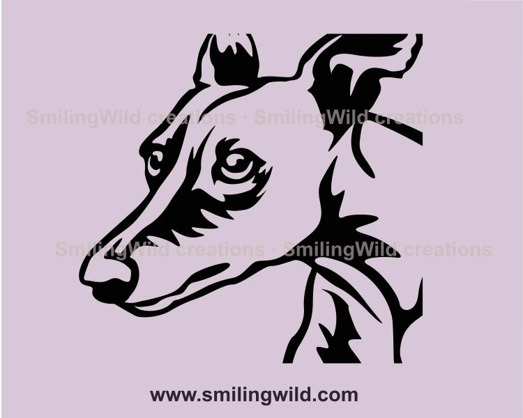 cute whippet portrait close up