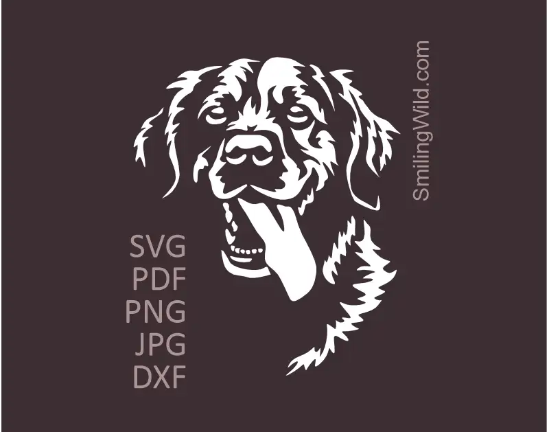 White Golden Retriever Clipart SVG, PNG and DXF Smiling Dog Face with tongue hanging out of the mouth  worked out in a Vector Art desig. Optimized for dark material and Cricut.