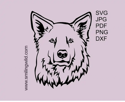 White Swiss Shepherd dog face frontal portrait SVG PNG DXF vector clipart for Cricut cutting and laser engraving