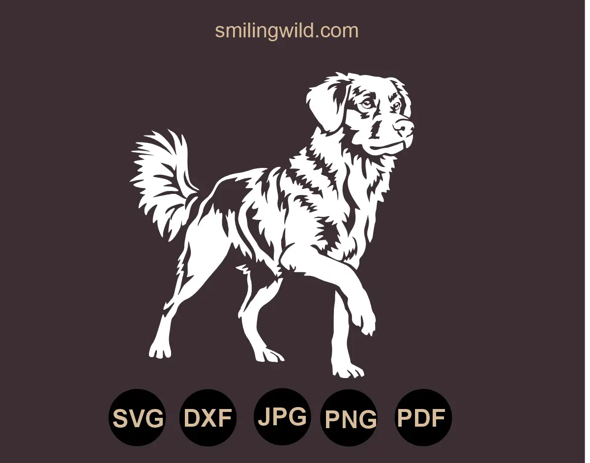 High-contrast white vector graphic design tracing the intense expression and dense coat texture of a standning alert Toller dog svg and dxf file for slate laser marking.