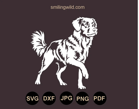 High-contrast white vector graphic design tracing the intense expression and dense coat texture of a standning alert Toller dog svg and dxf file for slate laser marking.