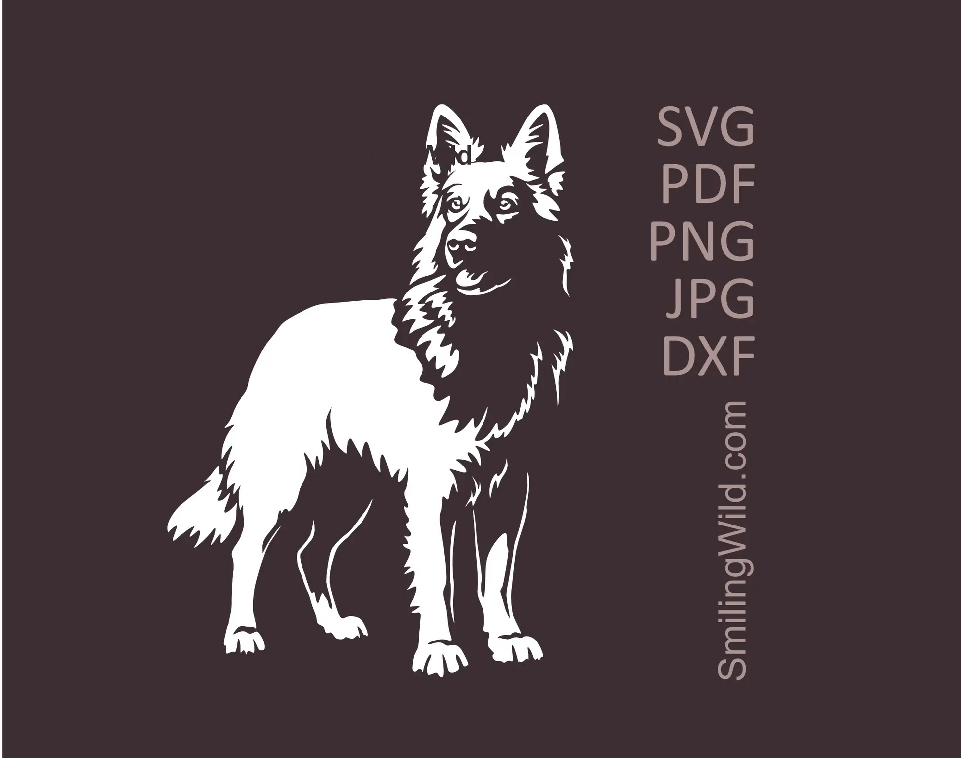 White Swiss Shepherd (Berger blanc suisse) SVG vector cut files design preview showcasing afull body standing herding dog