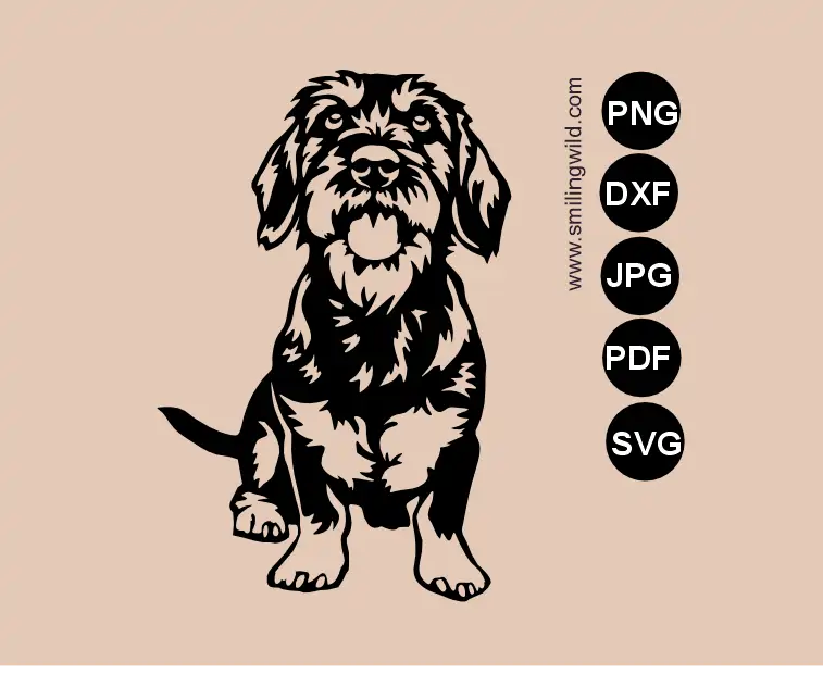 wiener dog svg vector graphic drawing showing a sitting single-piece wirehaired dachshundfile for metal and wood signs