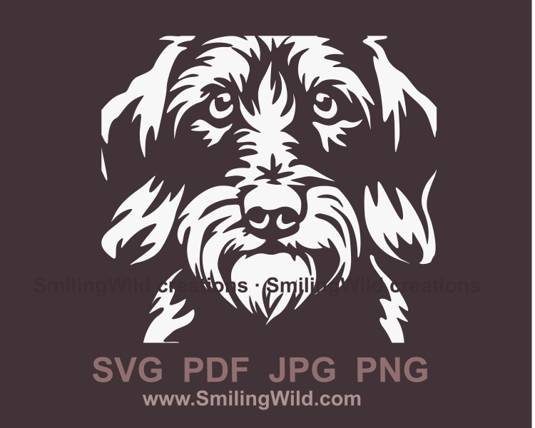 wirehaired dachshund white vector portrait with transparent background