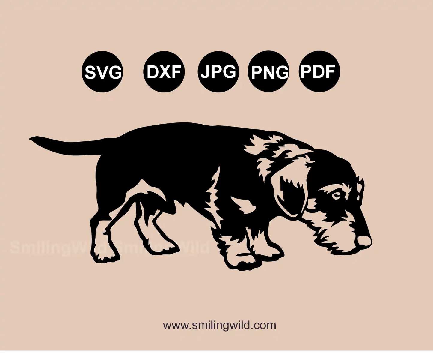 Wirehaired Dachshund Dog SVG, PNG, DXF scent tracking clipart for metal art presenting a full body hunting dog clipart
