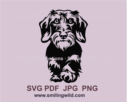 wirehaired dachshund digital clip art drawing in a black color