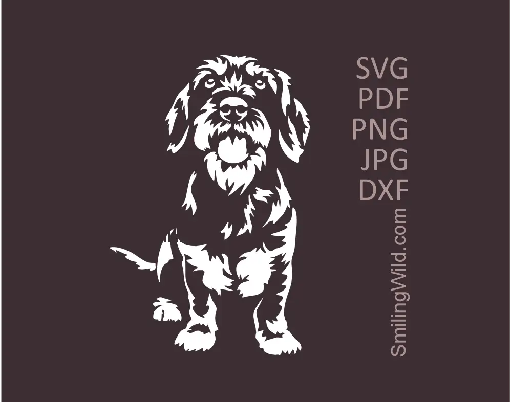 Preview of a sitting Wirehaired Dachshund white vector cut file SVG showing a detailed dog drawing in frontal view on a dark background.