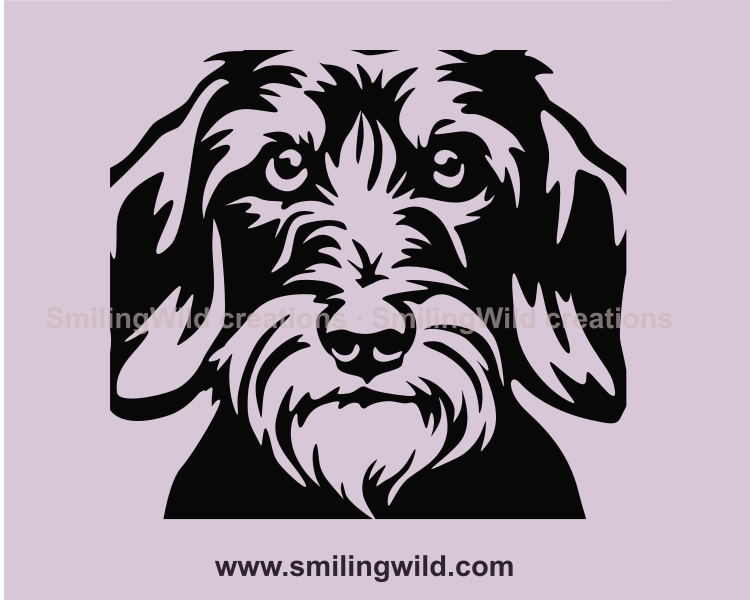 wirehaired dachshund graphic portrait made as digital file