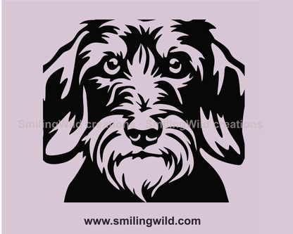 wirehaired dachshund graphic portrait made as digital file