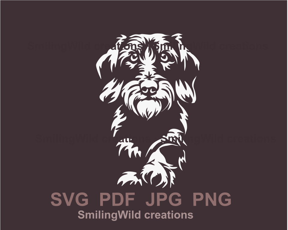 wirehaired dachshund white vector art image on a dark violet nackground