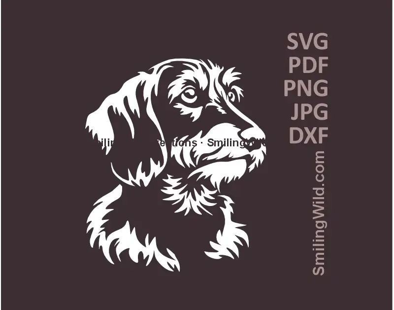 Wirehaired Dachshund white head portrait SVG PNG DXF wiener dog vector for Cricut and laser cutting