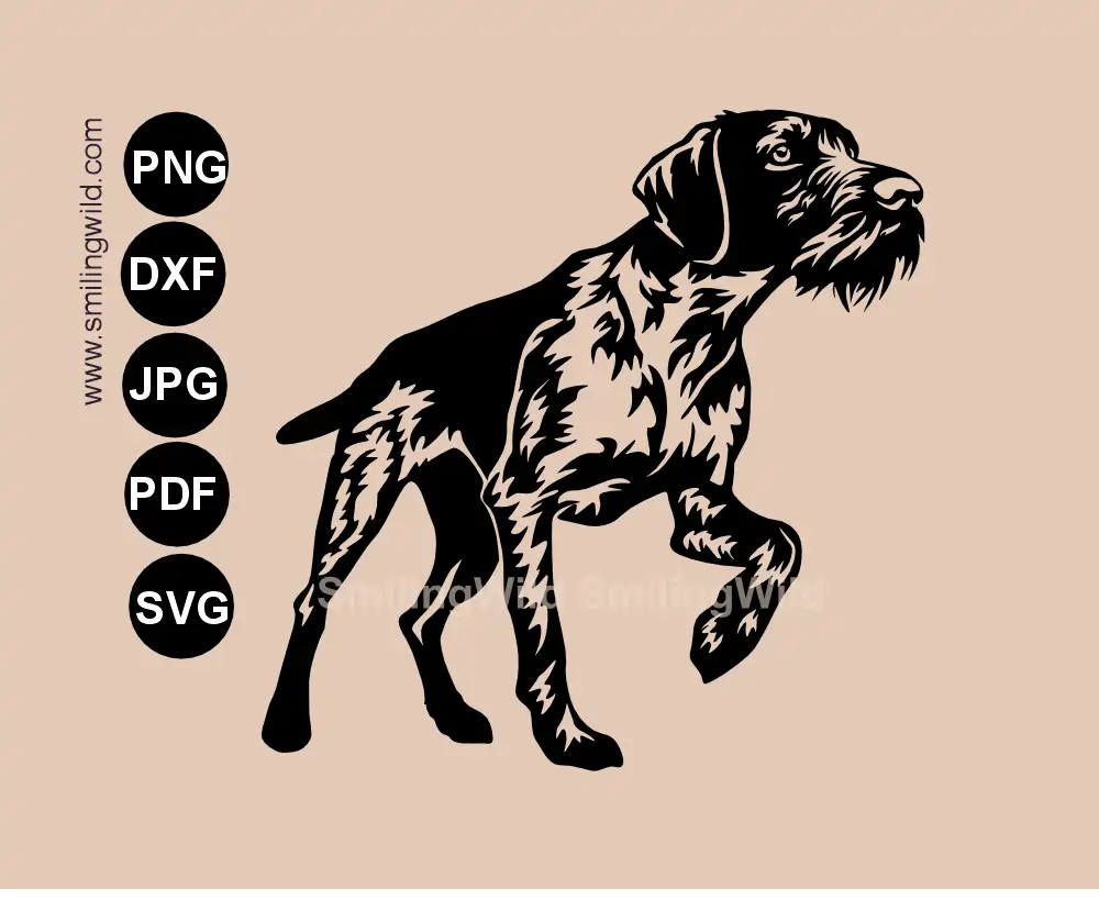 German Wirehaired Pointer SVG  and DXF vector graphic in full body, showing a hunting dog cut file in a pointing position.