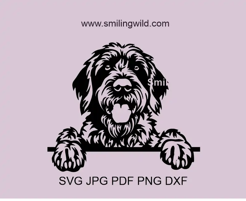 Wirehaired Pointing Griffon SVG Peeking Dog Vector Clipart. Korthals Griffon design optimized for Cricut cutting.