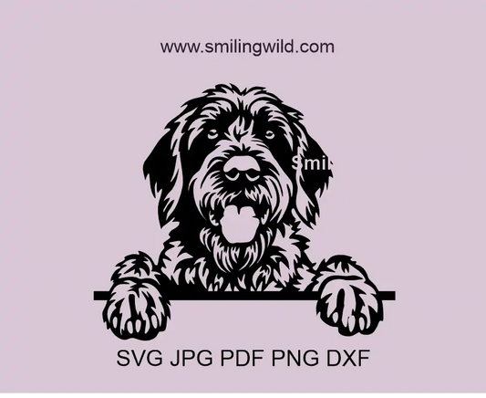 Wirehaired Pointing Griffon SVG Peeking Dog Vector Clipart. Korthals Griffon design optimized for Cricut cutting.