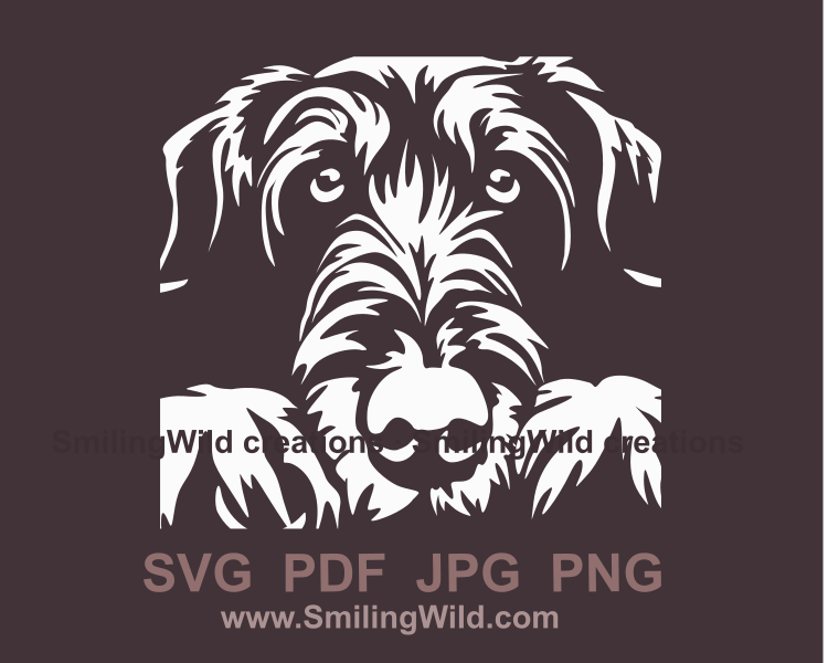 irish wolfhound face sample of a cuttable portrait