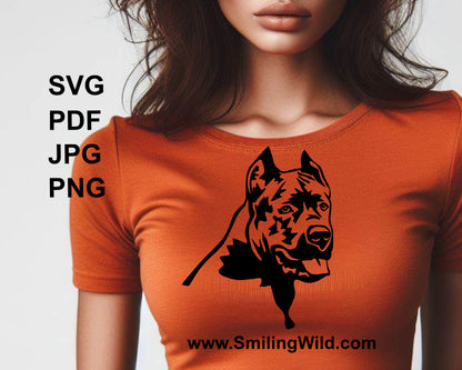 Cane corso dog is shown as a decal on t shirt.