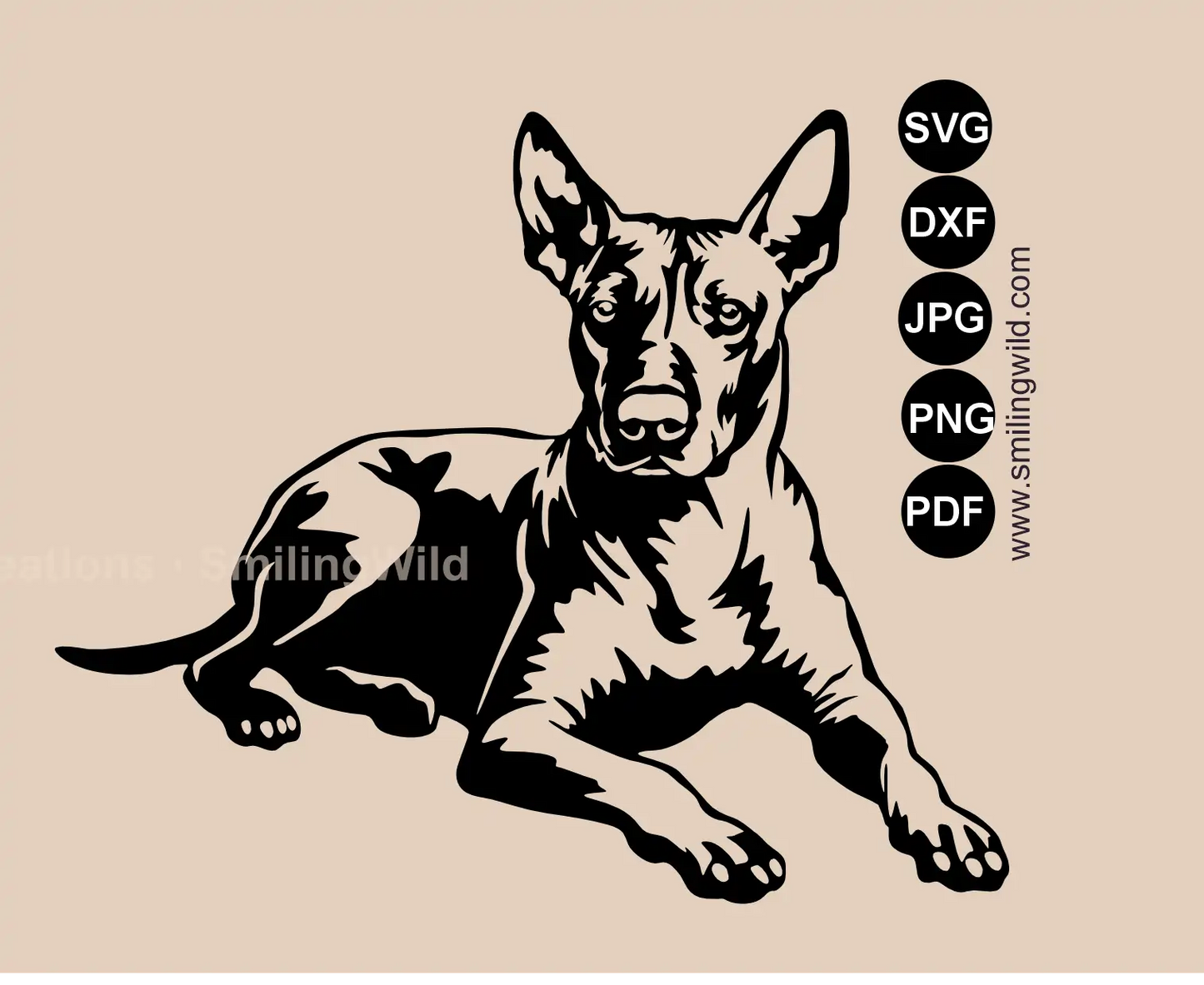 Xolo SVG Clipart Cut File showing a detailed lying Xoloitzcuintli dog for professional crafting.