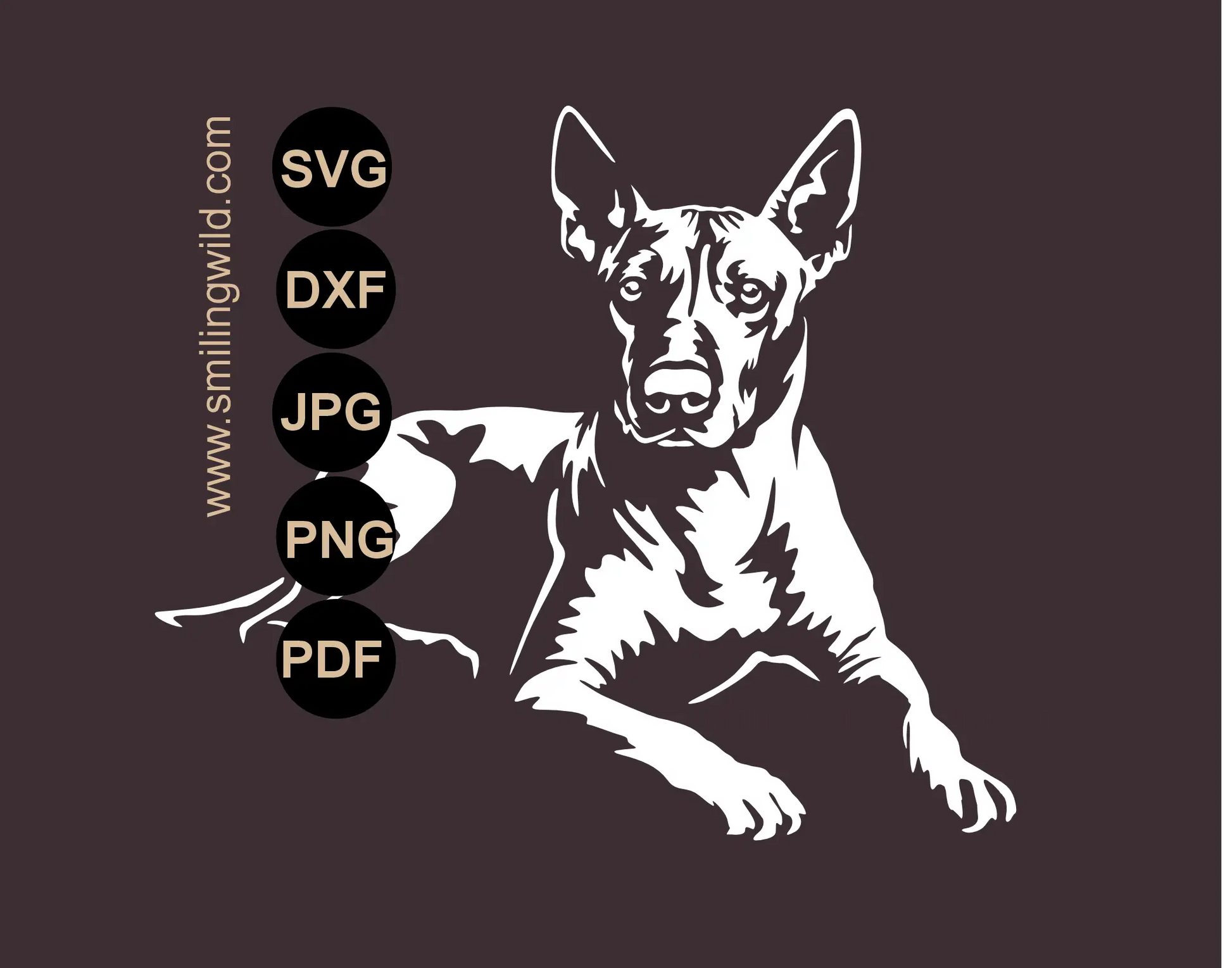 Xolo White SVG Clipart featuring a high-contrast full body lying Mexican Hairless Dog graphic drawiing for dark backgrounds.