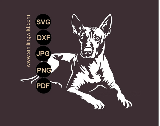 Xolo White SVG Clipart featuring a high-contrast full body lying Mexican Hairless Dog graphic drawiing for dark backgrounds.