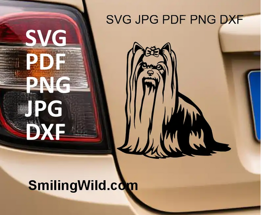 a car sticker of a Yorkie in black show coat vector graphic SVG PNG DXF cuttable clipart design for digital crafting and engraving