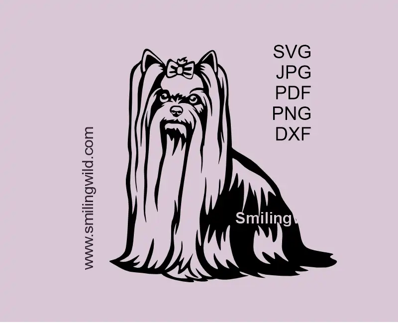 Yorkshire Terrier dog in full body SVG PNG DXF black clipart, full length long coat vector cut file for Cricut and laser cutting crafts
